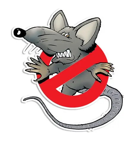 Rodent -Control--in-Fountain-Valley-California-Rodent-Control-2526506-image