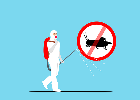 Exterminators--in-Garden-Grove-California-exterminators-garden-grove-california.jpg-image